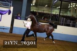 21YN_76301 thumbnail