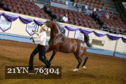 21YN_76304 thumbnail