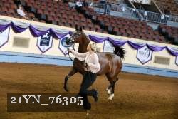 21YN_76305 thumbnail