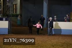 21YN_76309 thumbnail