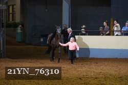 21YN_76310 thumbnail