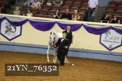 21YN_76352 thumbnail