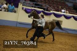 21YN_76384 thumbnail