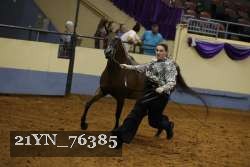 21YN_76385 thumbnail