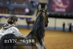 21YN_76388 thumbnail
