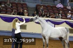 21YN_76398 thumbnail
