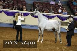 21YN_76401 thumbnail