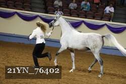 21YN_76402 thumbnail