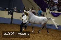 21YN_76405 thumbnail