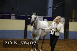 21YN_76407 thumbnail