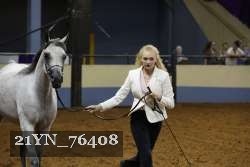 21YN_76408 thumbnail