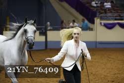 21YN_76409 thumbnail