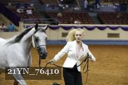 21YN_76410 thumbnail