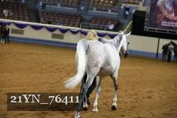 21YN_76411 thumbnail