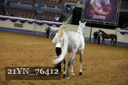 21YN_76412 thumbnail