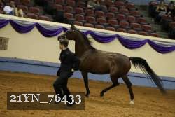 21YN_76433 thumbnail