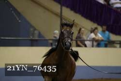 21YN_76435 thumbnail