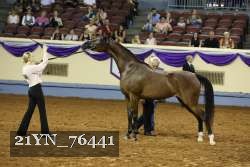 21YN_76441 thumbnail
