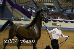 21YN_76450 thumbnail