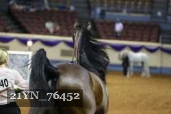21YN_76452 thumbnail