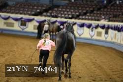 21YN_76464 thumbnail