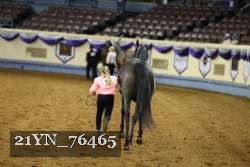 21YN_76465 thumbnail