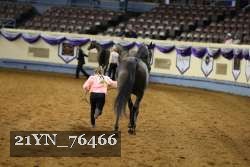 21YN_76466 thumbnail