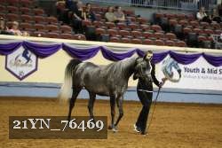 21YN_76469 thumbnail
