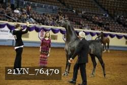 21YN_76470 thumbnail