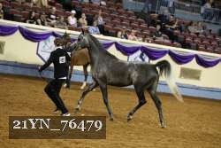 21YN_76479 thumbnail