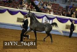 21YN_76481 thumbnail