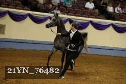 21YN_76482 thumbnail