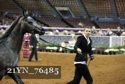 21YN_76485 thumbnail