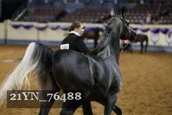 21YN_76488 thumbnail