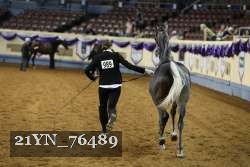 21YN_76489 thumbnail