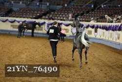 21YN_76490 thumbnail
