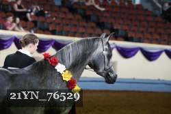 21YN_76529 thumbnail