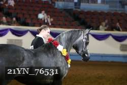 21YN_76531 thumbnail