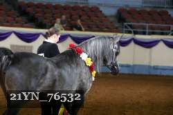 21YN_76532 thumbnail