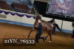 21YN_76533 thumbnail