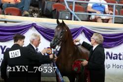 21YN_76537 thumbnail
