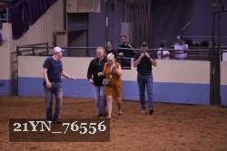 21YN_76556 thumbnail