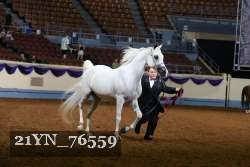 21YN_76559 thumbnail