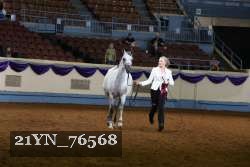 21YN_76568 thumbnail