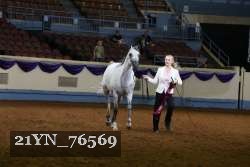 21YN_76569 thumbnail