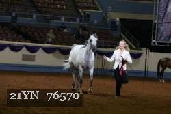 21YN_76570 thumbnail