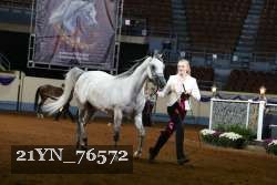 21YN_76572 thumbnail