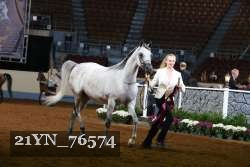 21YN_76574 thumbnail