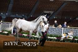 21YN_76575 thumbnail