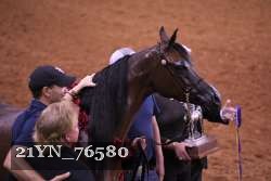 21YN_76580 thumbnail